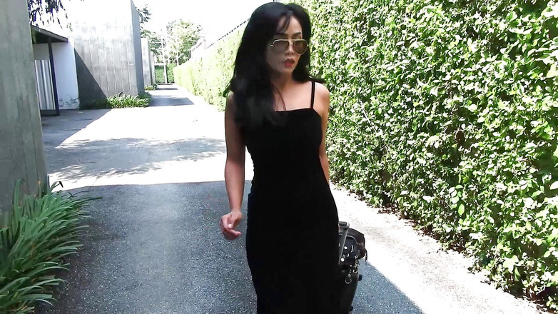 Asian Pussy Vision: 我们热辣的亚洲女孩在家的 2 个场景