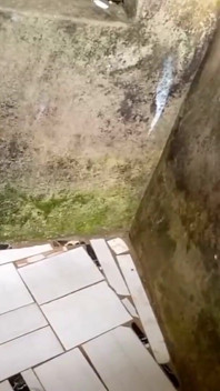 Una troia ebano che ama la sua bottiglia