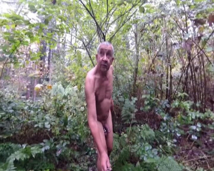 Andy: Rainy и Wet в лесу