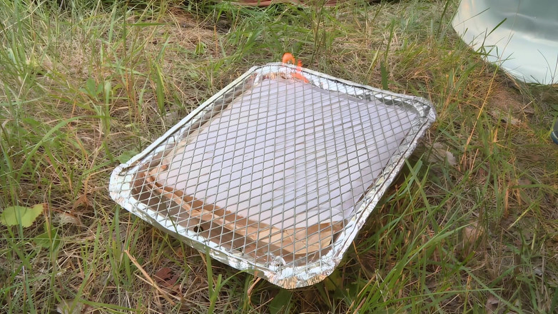 MMV and Eroticplanet Clips: Futai în aer liber urmărit cu pasiune