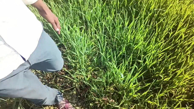 HotboyIndian: Hot Boy Indyjski wideo