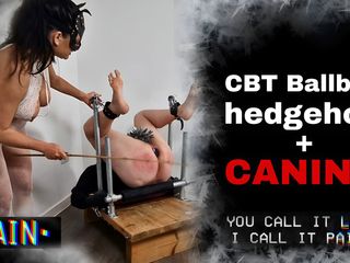 Training Zero: CBT Hedgehog bătaie cu bătaie cu dominare feminină