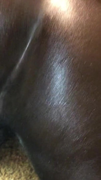 Black Booty Wants BBC