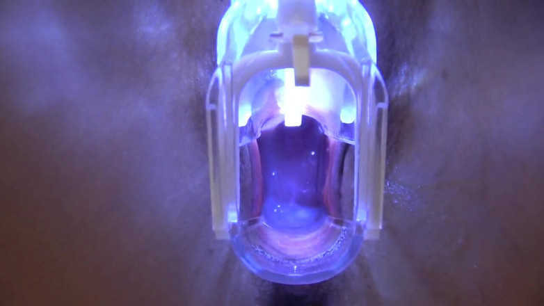 Sky Angel: Asian Angel 17492