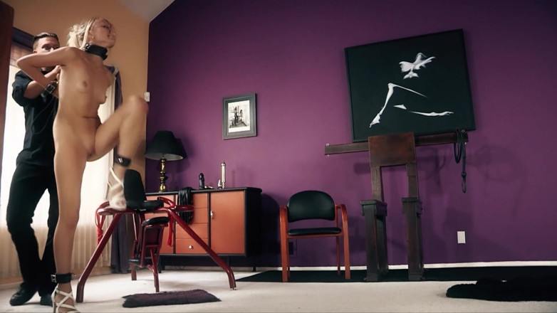 Domination Master: My Prancing Slave