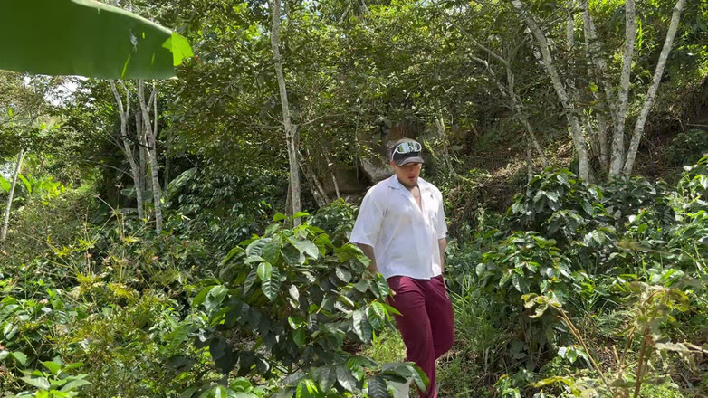 KerentSleen: La ragazza si è persa nella foresta, la scopo in una...