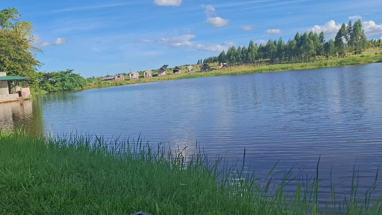 BMCs: 세상에서 가장 좋은 경치에서 내가 사랑하지만 평생을 위해서의 천국 섹스