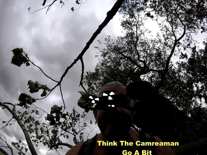 Andy: Bahagian 2 Walk 46