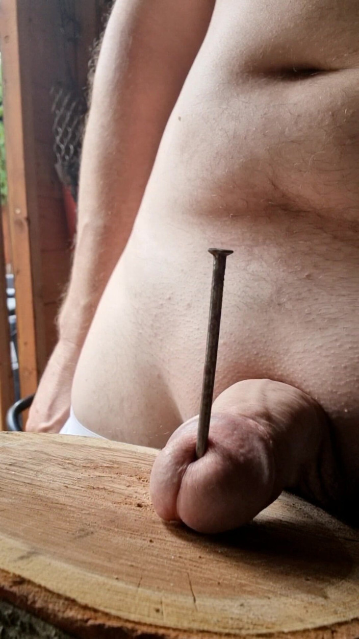 TangiblePoetry697: Tail Nailed