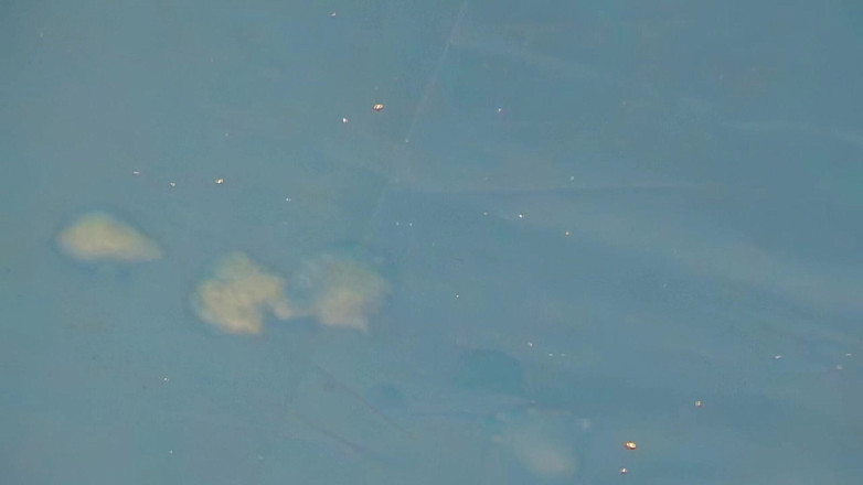 Mark Hannes: Fleshlight Tabel - futai în stand 1