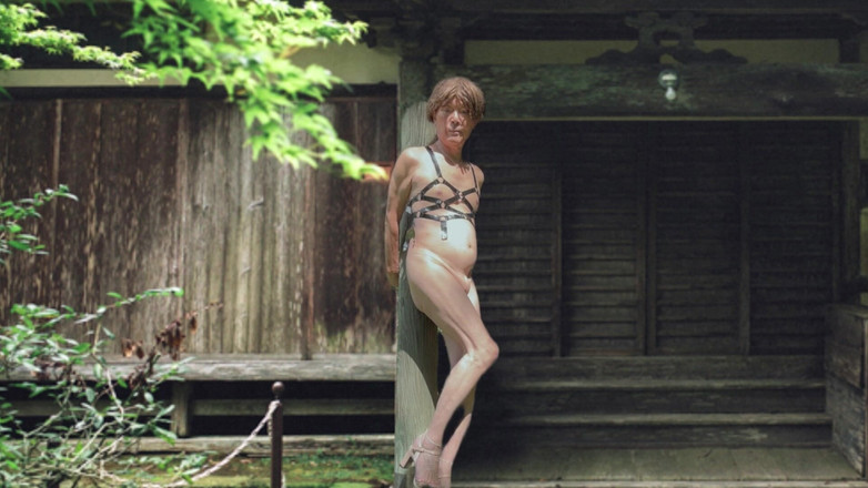 Pai-chan: Japanisches altes haus und Pai-chan