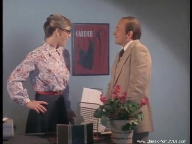 Classic Porn DVDs: Sexy secretary is getting fucked by her boss