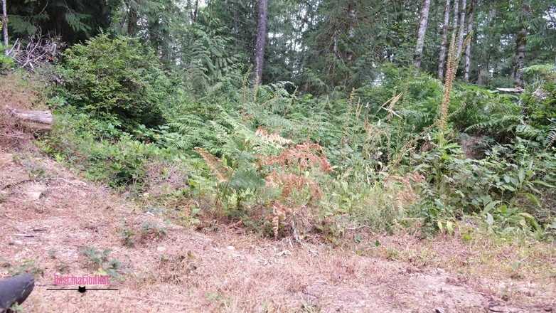 Destination Kat: Muitos xixi xixi comp