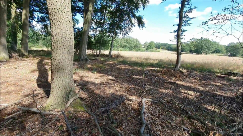 UserBitch1: Geneukt Aan De Rand Van Het Bos