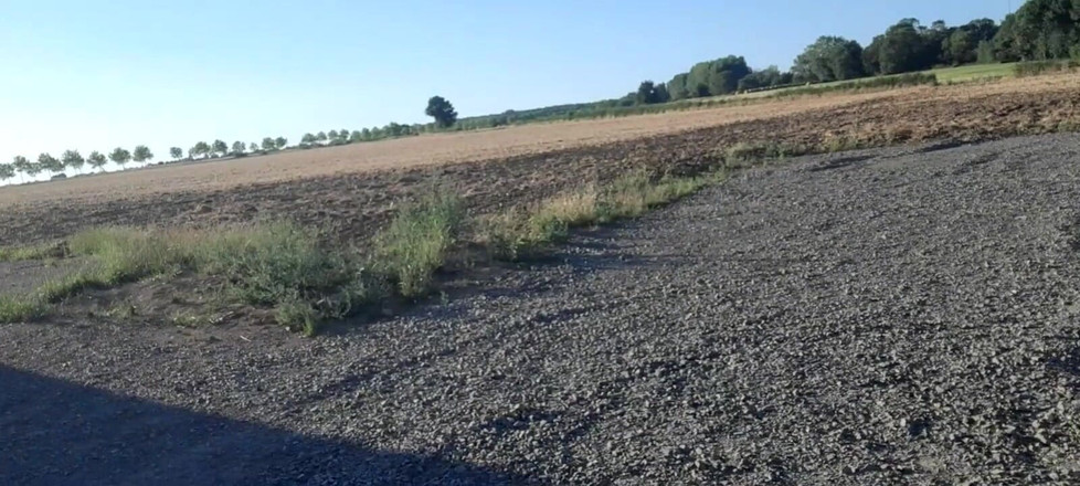 Baby Love: Iss mein sperma.