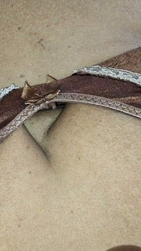 Hottest MILF Homemade Viral Video
