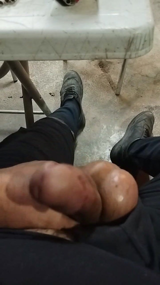 CenkAy: Mascuker muž si hraje se svým ptákem na webové kameře...