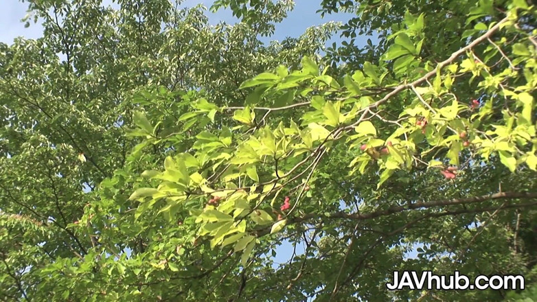 JAVHub: JAVHUB - Sexy JAV babe sucks and fucks two guys outdoors