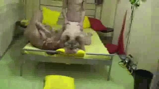 Anna Devot: Annadevot - di sana dia menghisap