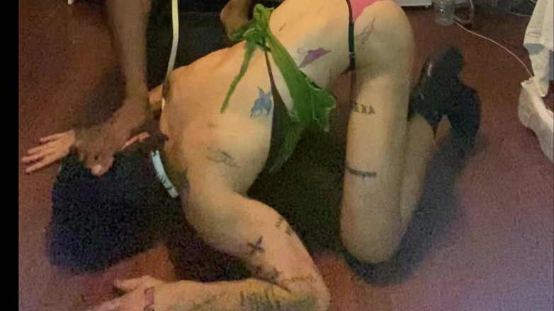 Wesley Bull: O supusă bine antrenată care se bucură de picioarele mele