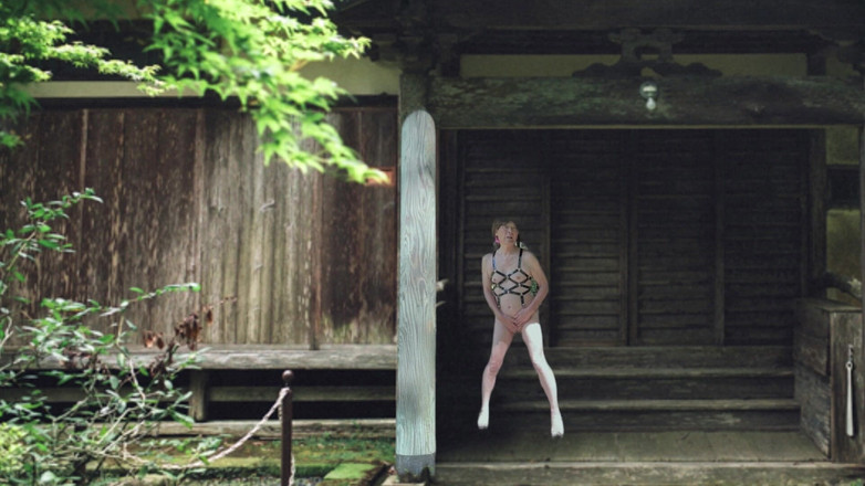 Pai-chan: Japonský starý dům a Pai-chan