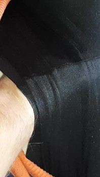 I Fuck My Stepmom with a Hairy, Plump Pussy While No One Is Home.