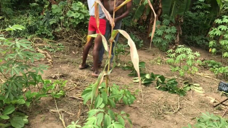 Sexydaddy: Rolnicy uprawiają seks w gospodarstwie, zarówno dają sobie loda