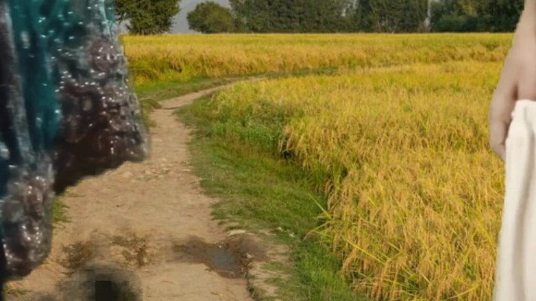 Zoya Khan: Pákistánský pár Venkovní sex ve vesnických polí S1 epizoda 4