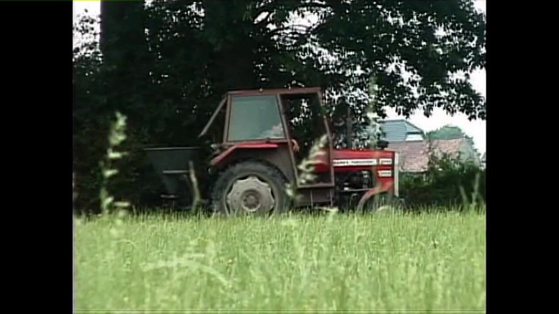 Heatwave Porn: Dal culo alla bocca, Parte 8