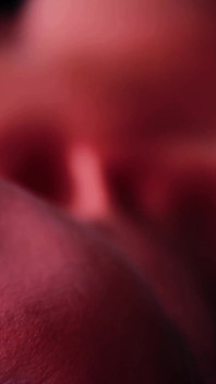 Sexy Editor Amica Bentley Takes Writer on Erotic Journey of Betrayal