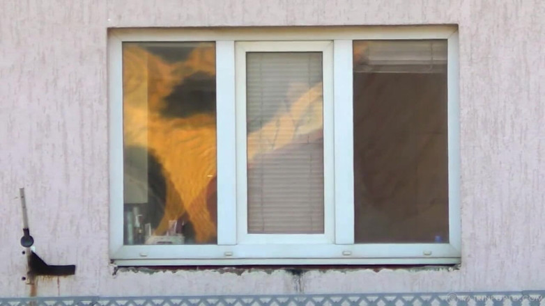 Katrin Porto: BBW fucked in the open window