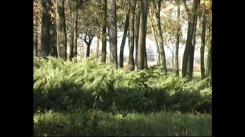 Xtime Network: Đội hình bắn hậu môn - tập 1