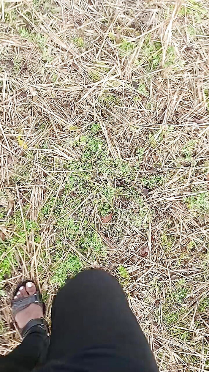 Indoor ally: Епізод джунглів Джіджа Саалі - 1