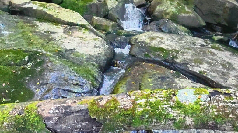 Black Swan: MILF dimakan dan dikongkek pepeknya di sungai