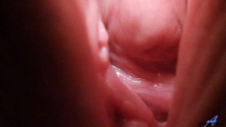 Anilos: Fransız hizmetçi