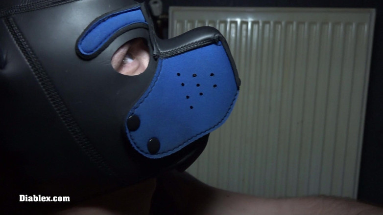 Diablex: Giáo xứ Sacha