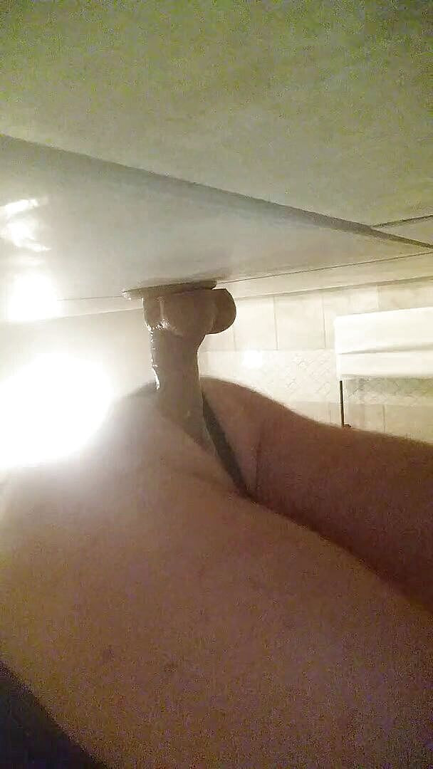 Lady Catherine's Domain: 8" dildo nástěnné plácnutí