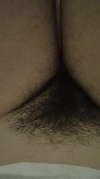 Hairy Pussy and Bellybutton