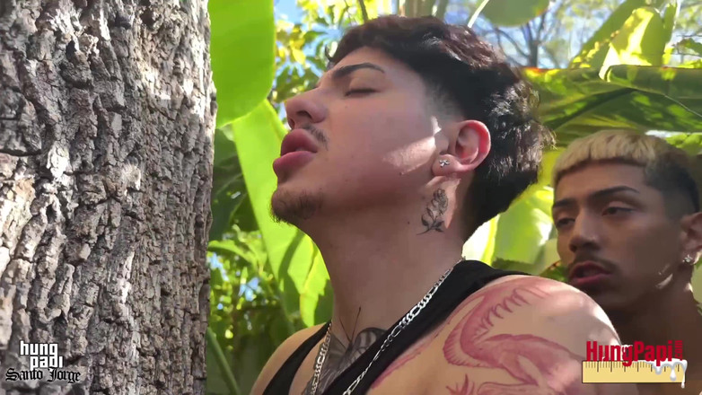 Hung Papi: お尻クソ木ハガーゲイアナル射精ディープブリーディング!フン・パピ・サント・ホルヘ