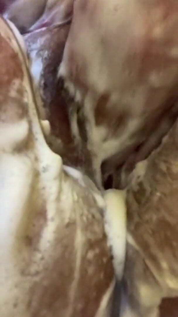 Real homemade BBW BBC porn: Bbwbootyful having a bath soaping my fat hair pussy
