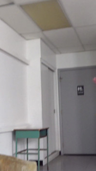 Femdom Boss - Sniff My Ass Loser