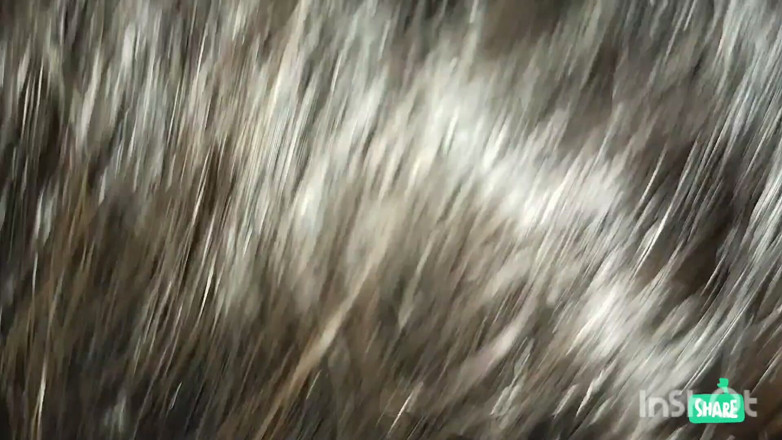 James fucker: Part 1 Hot Pakistani Wife Sensual Foreplay & Titjob Real Amateur Couple
