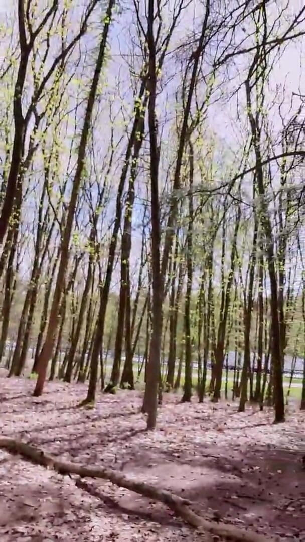 Slutboyben: Slutboyben Cam4 Sexy Cestovní Kočka Iii