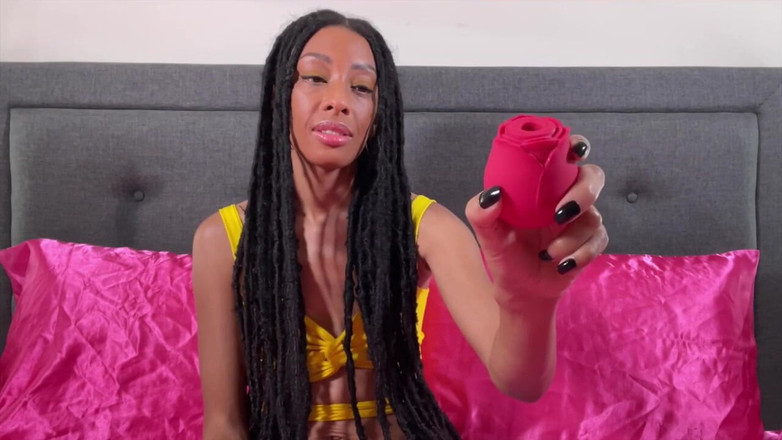 Pink Foxx: 5 Mainan Seks Kegemaran Pink Foxx