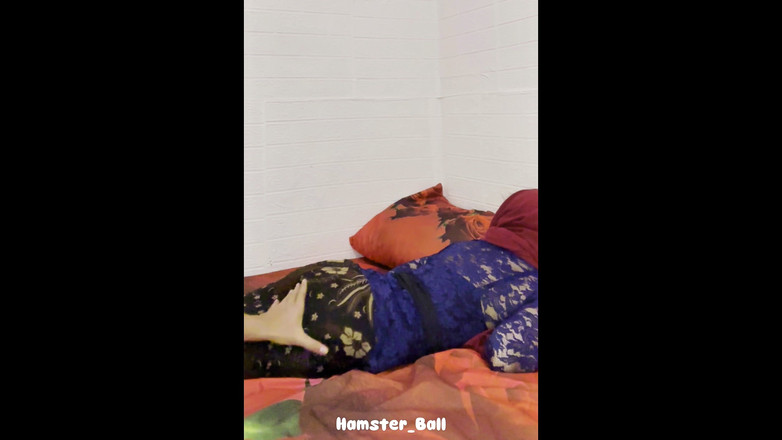 Hamster_Ball: 帰宅後に家に招待した他人の妻と浮気