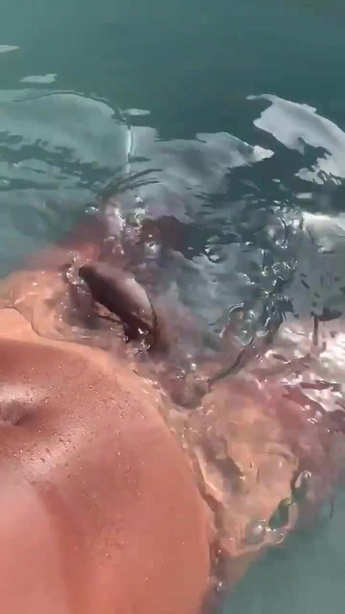 Vida Noite: Słuchając dźwięku gooning w basenie i szarpiąc się