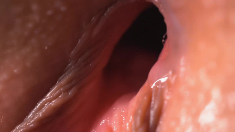 69win: Doggy Style Penetration on a Macro Lens: in Great Detail