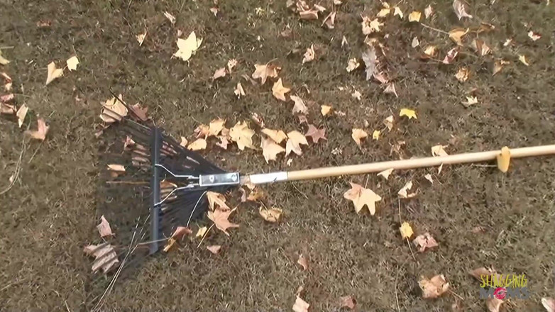 Shagging Stepmoms: Duas loiras vixens com peitos falsos têm suas bundas perfuradas...