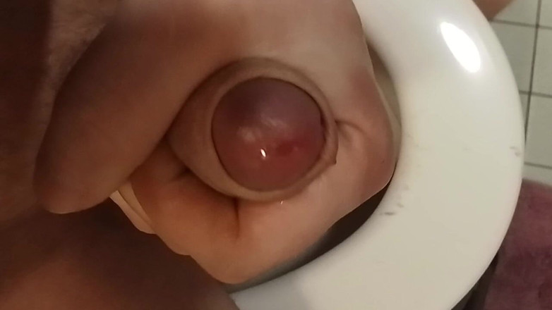 Sexual madness: Walenie konia