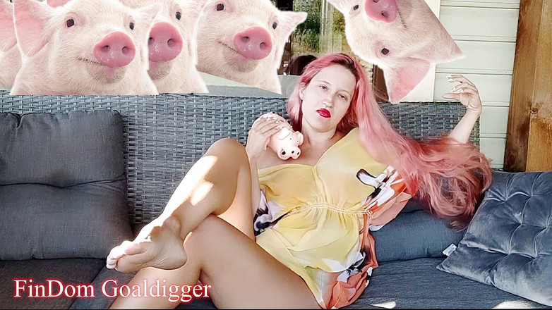 FinDom Goaldigger: Geldsklave antrag auf Formularüberprüfung